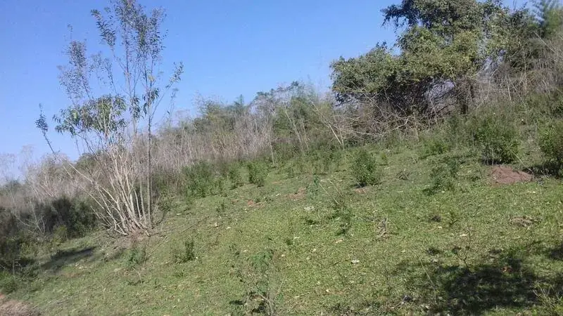 122m² Lot for Sale in Coronel Oviedo - Image 6