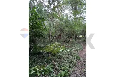 Casa de 3 dormitorios en Venta en Limpio