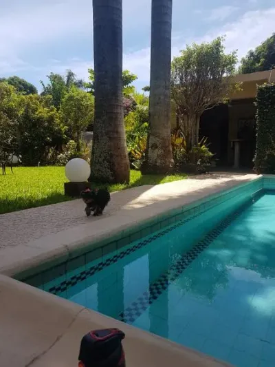Casa de 3 dormitorios en Venta en Villa Aurelia, Fernando de la Mora