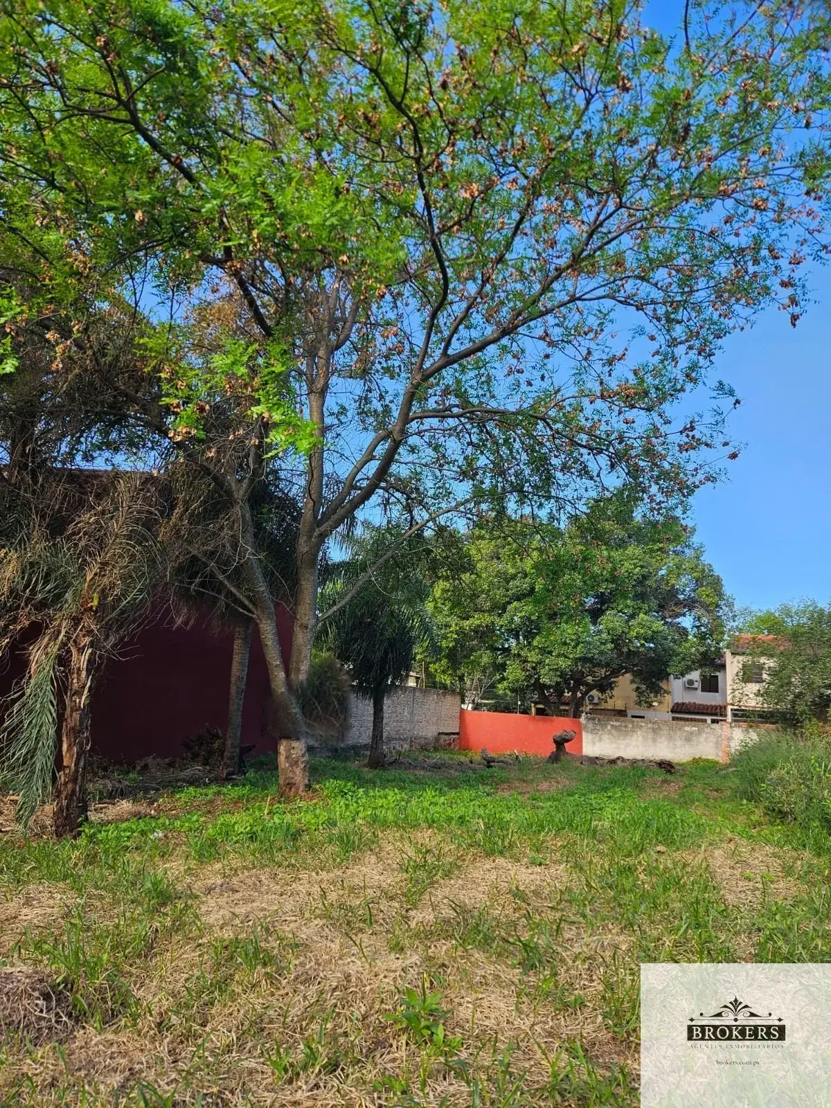 372m² Lot for Sale in Primer Barrio, Luque - Image 3