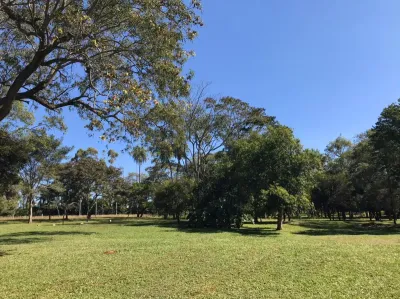 Terreno de 110,000m² en Venta en Caacupé