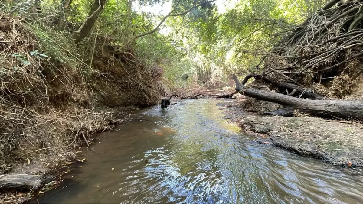 Campo de 34 Hectáreas con arroyo y vistas en Venta en Acahay, Paraguay