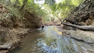 Campo de 34 Hectáreas con arroyo y vistas en Venta en Acahay, Paraguay