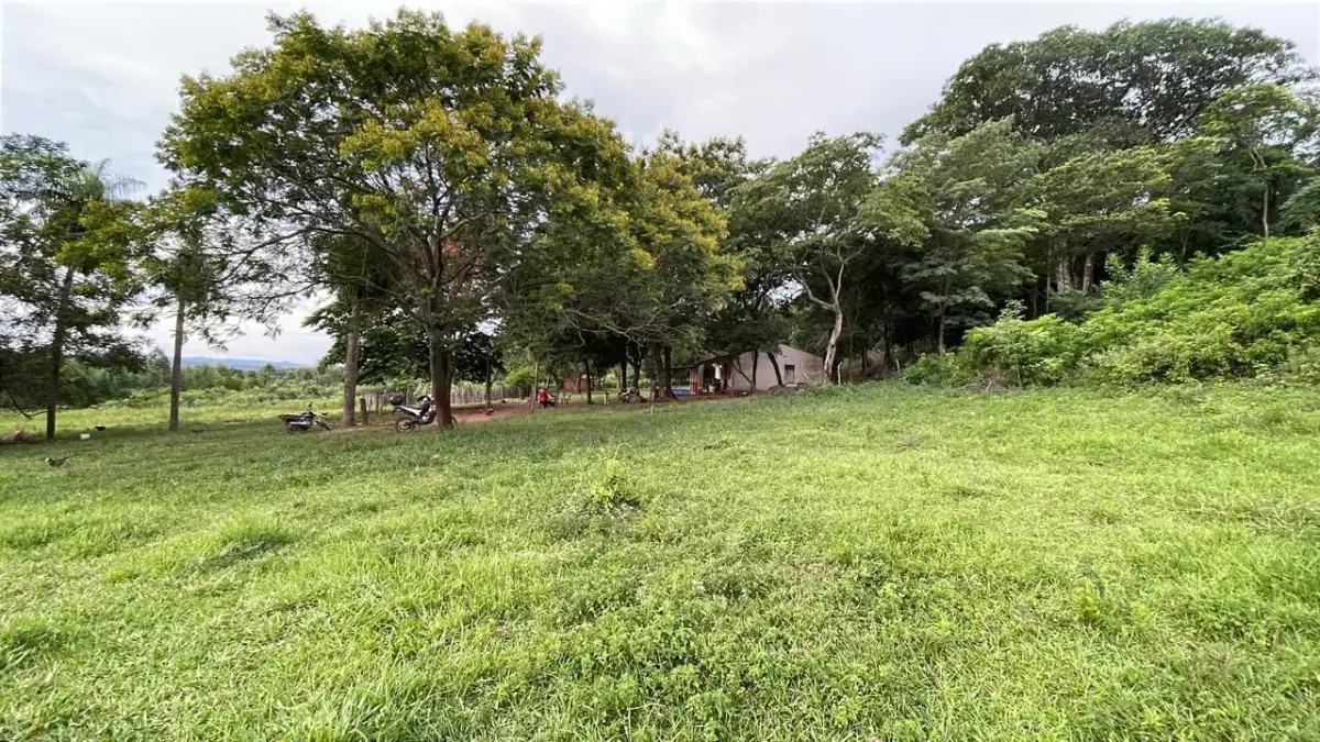 Vendo 88 hectáreas en Ybycui con casa y 21 hectáreas de eucalipto - Image 6