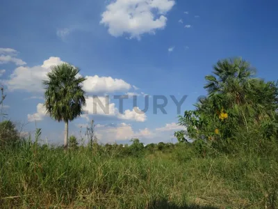 1,054m² Land for Sale in Limpio