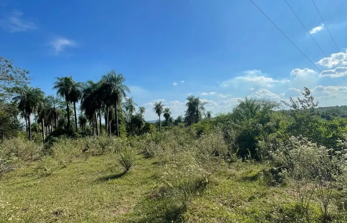 VENDO HERMOSA PROPIEDAD EN EMBOSCADA 20 hectareas A 3 km de la ruta - Image 8