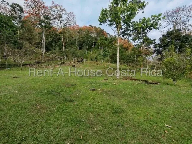 MLS-26-1444 Land of 644,346m² for Sale in Murcia, Turrialba - Image 5