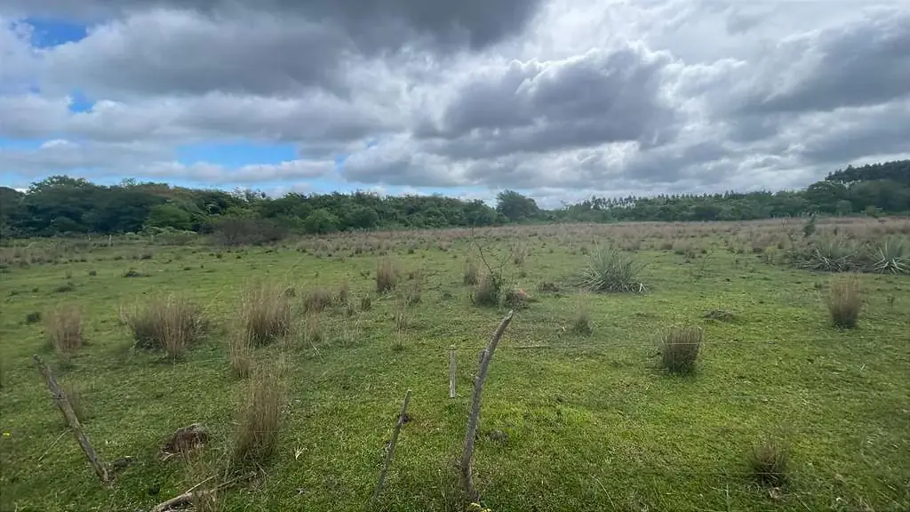 12.6-Hectare 31.1-acre Farm with House in Carapeguá - Image 4