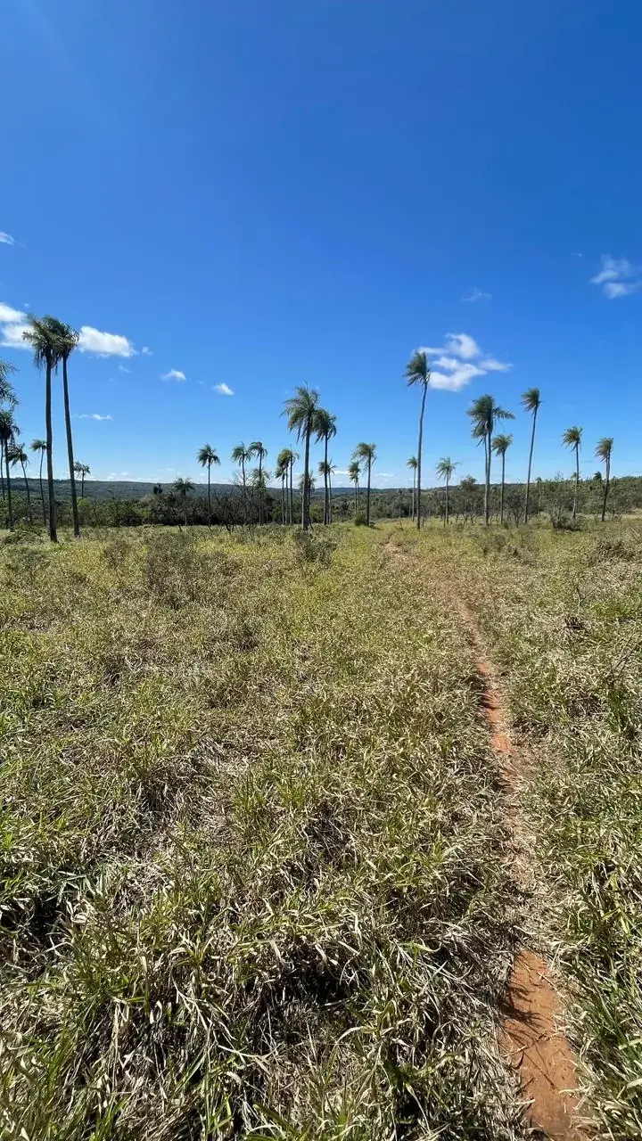 Campo 10 ha con vistas en Piribebuy | 25-acre land 1h45 from Asunción - Image 5
