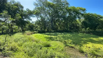 Campo de 8,9 ha en Caballero | 22-acre farm 2 hours from Asunción