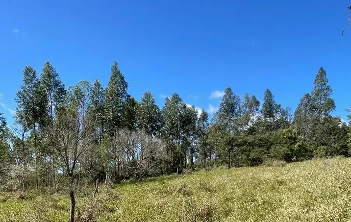 Campo 10 ha con vistas en Piribebuy | 25-acre land 1h45 from Asunción - Image 7