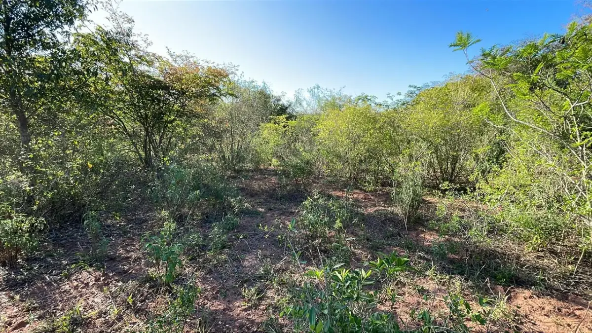 Vendo 4,5 hectáreas en Piribebuy 🤩🌳 con manantial, arroyo y pileta - Image 8