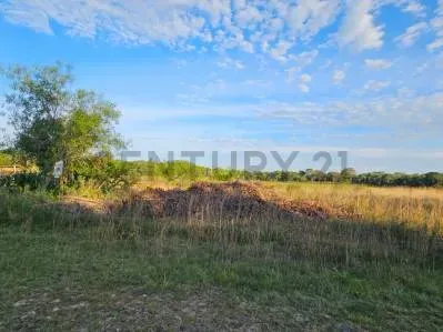 Terreno de 600m² en Venta en San Bernardino