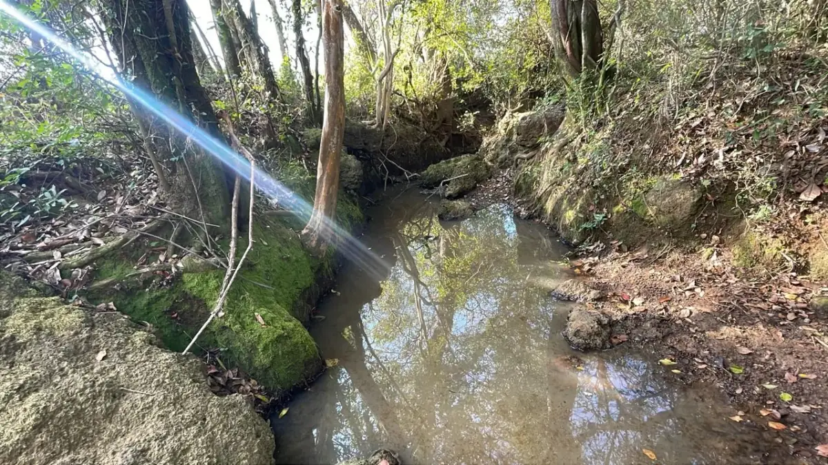 Vendo propiedad de 22 hectáreas en Tobati ⛰️🪵🧱🌱 - Image 14