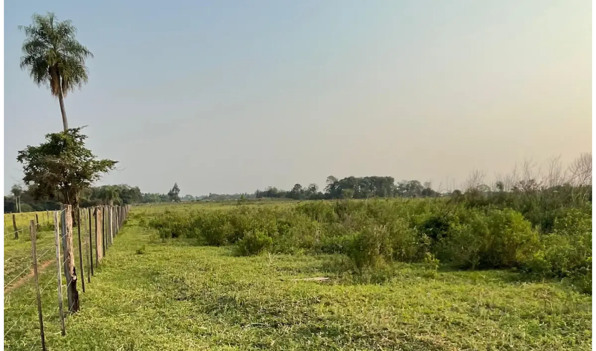 Vendo 4 hectáreas en Arroyos y Esteros 🤩 - Image 8