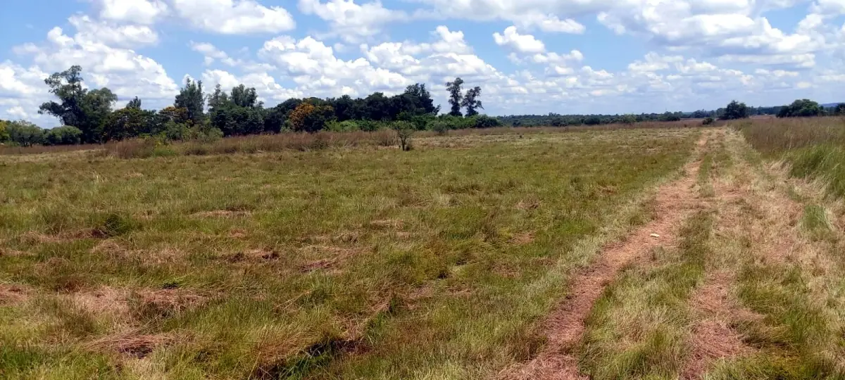 20 hectares em Arroyos y Esteros com estrada asfaltada e frente para o rio Piribebuy - Image 5