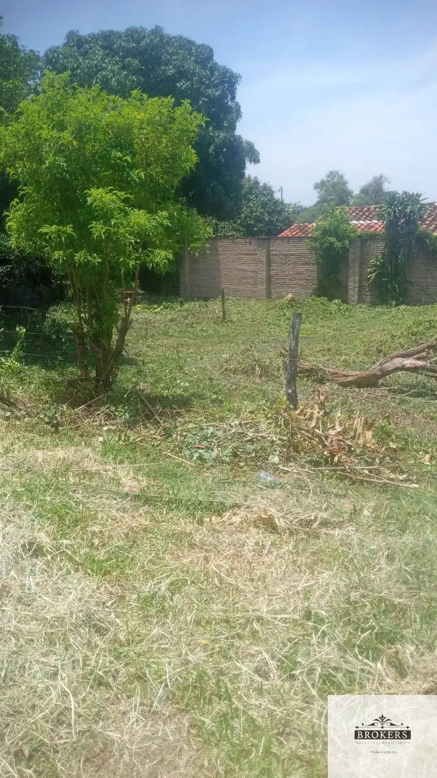 Terreno de 360m² en Venta en Cristobal Colon, San Bernardino - Image 3
