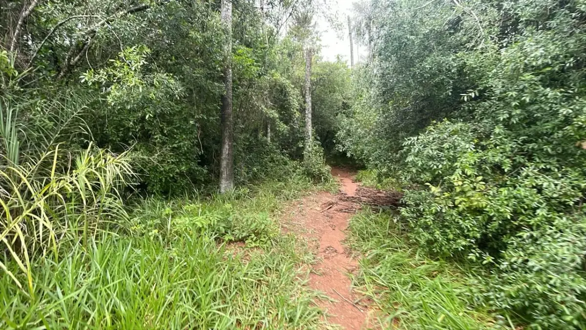 Vendo 14,6 hectáreas en Caacupé con vista al Cerro Kavaju - Image 10