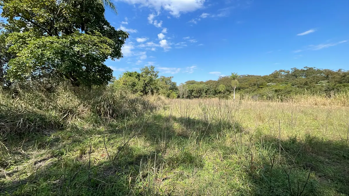 3-Hectare 7.4-acre Farm with Pasture & Forest in Caraguatay