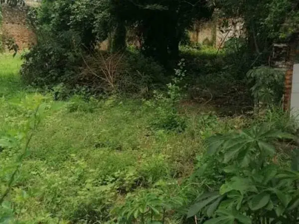 Terreno de 725m² en Venta en Carmelitas, Asunción - Image 3