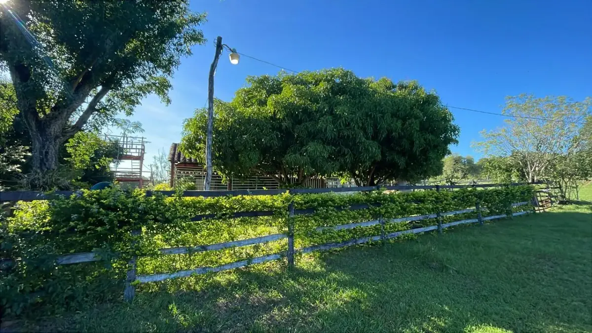 114hectare 282acre cattle ranch with a stream in Caapucu, Paraguari - Image 6