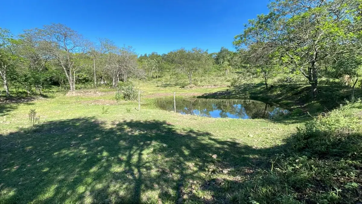114hectare 282acre cattle ranch with a stream in Caapucu, Paraguari - Image 7