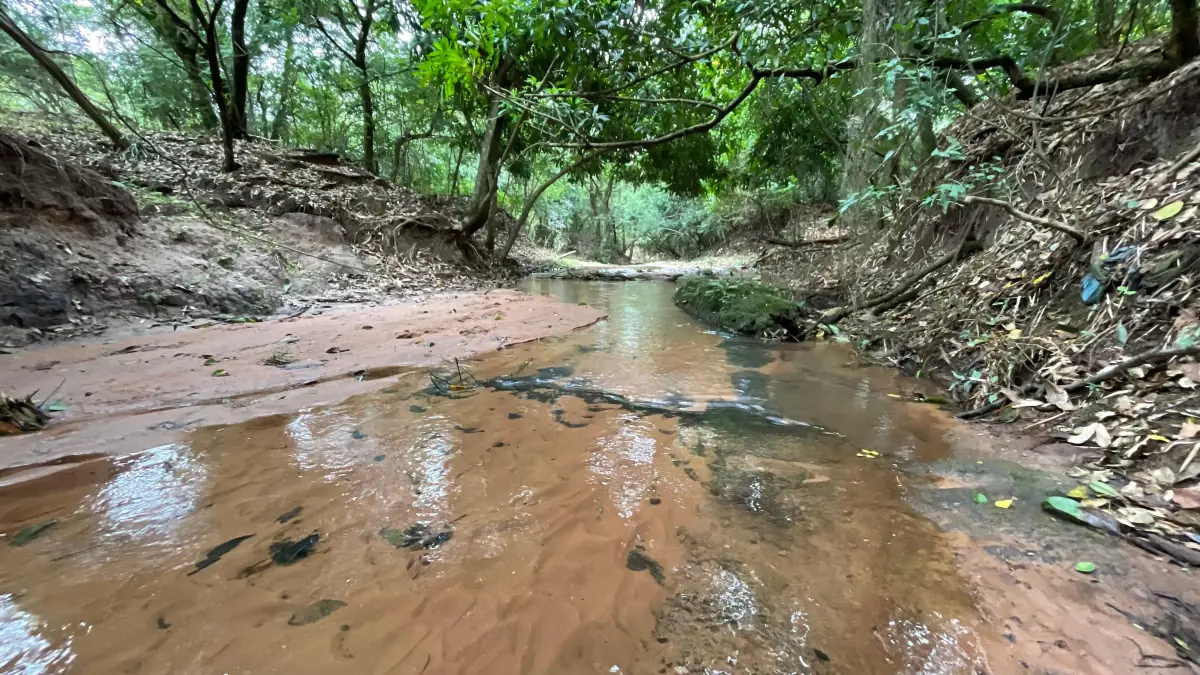 Vendo 9 hectáreas Quiindy a 2,5 km de la ruta 1