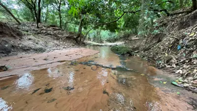 Vendo 9 hectáreas Quiindy a 2,5 km de la ruta 1