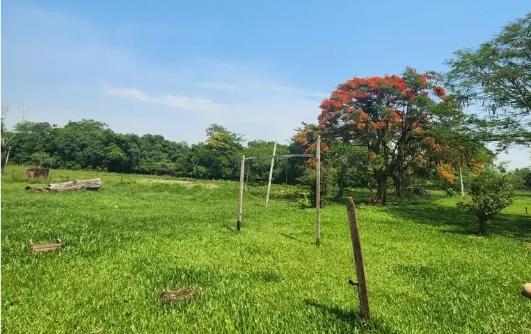 Vendo 5,5 hectareas en Caraguatay Fulgencio Yegros A 1000m del asfalto - Image 3