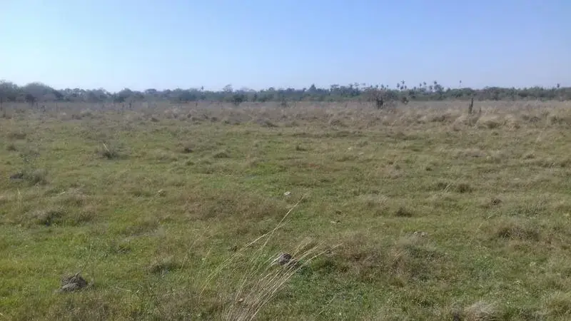 122m² Lot for Sale in Coronel Oviedo - Image 3