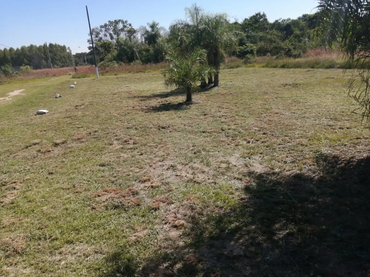 Vendo Terreno en Sanber de 500m2 a 200 metros de la ruta Luque-Sanber - Image 4