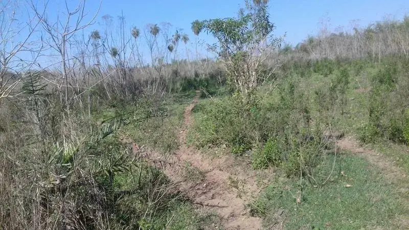 122m² Lot for Sale in Coronel Oviedo