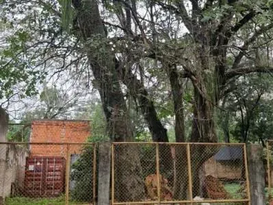 Terreno de 458m² à Venda em San Jorge, Assunção
