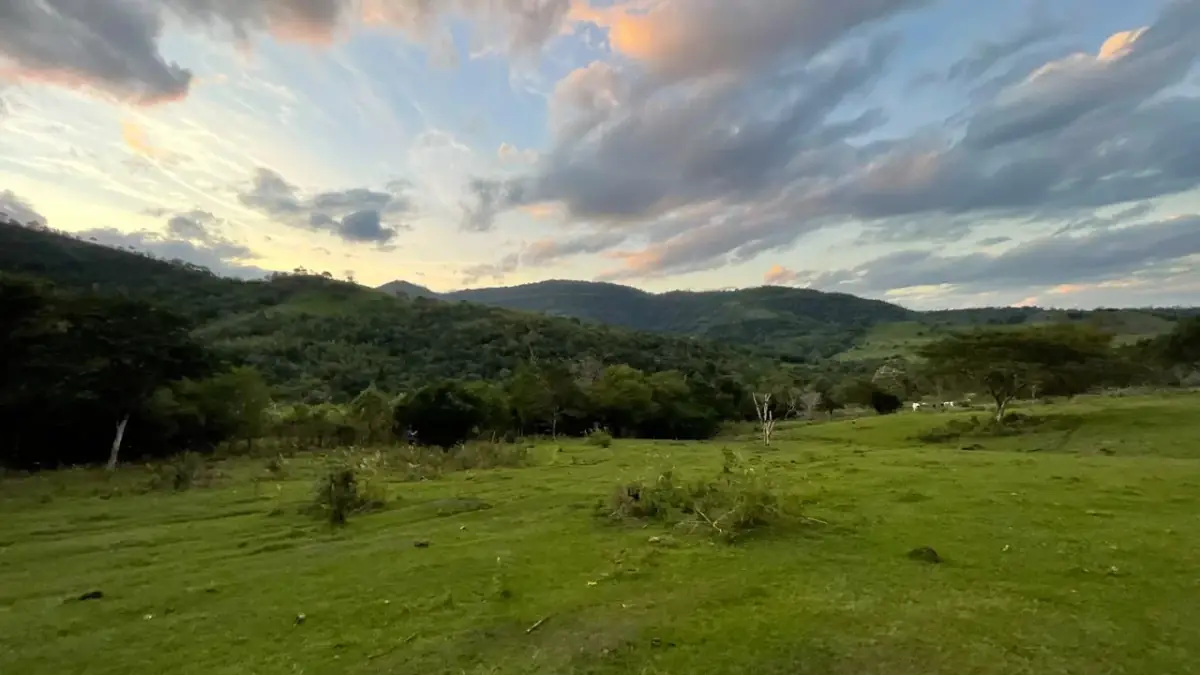 43 Hectares Farm for Sale in Paraguay with Natural Spring and Creek - Image 7