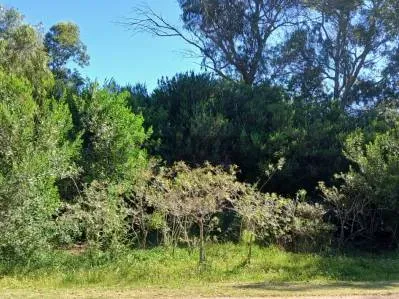 Terreno de 504m² en Venta en Barra del Chuy