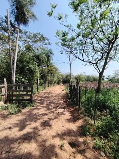 Terreno de 30.000m² à Venda em Ypané
