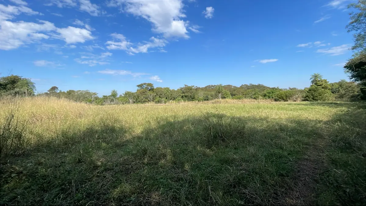 3-Hectare 7.4-acre Farm with Pasture & Forest in Caraguatay - Image 2