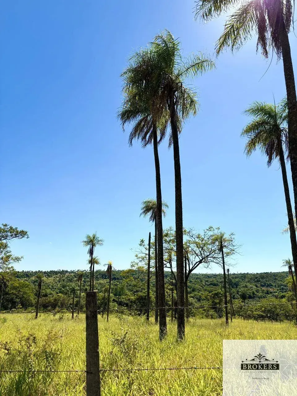 Terreno de 135,000m² en Venta en Piribebuy - Image 16