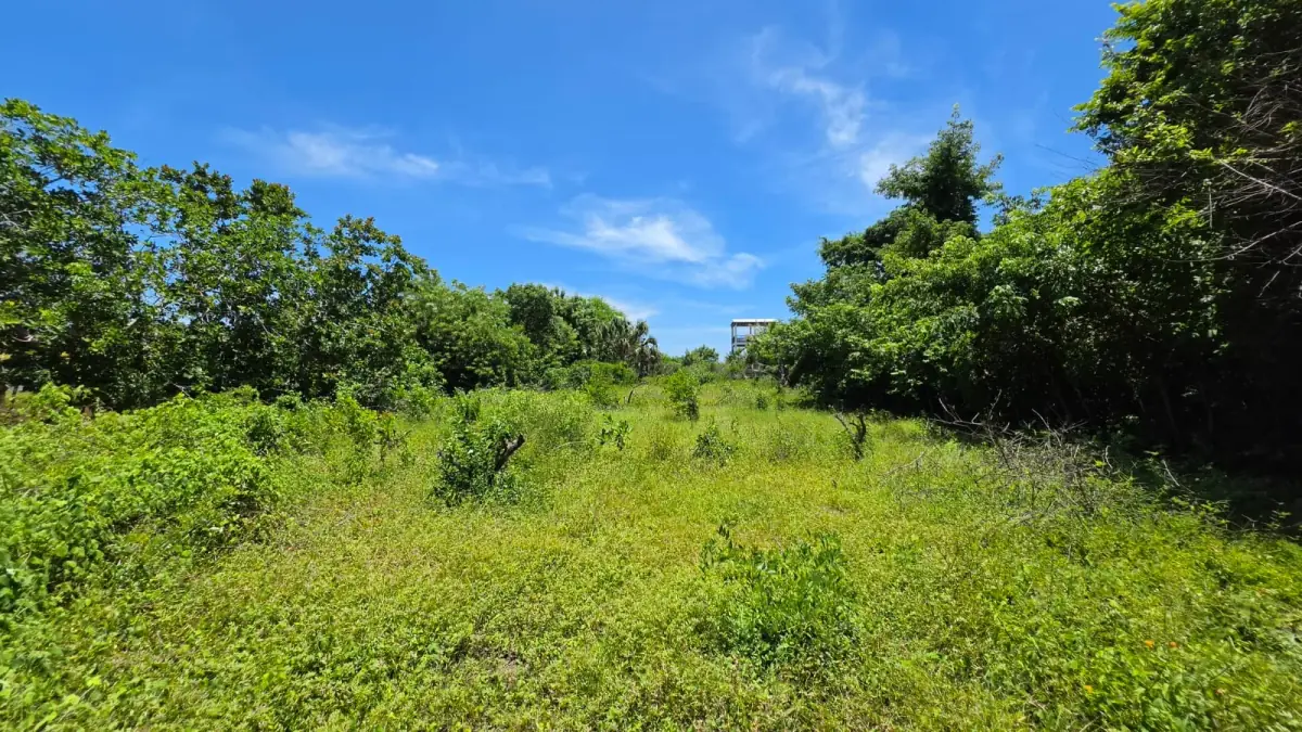 Terreno de 370m² à Venda em El Garitón - Image 7
