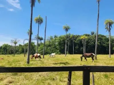 Terreno de 402m² à Venda em Caacupé