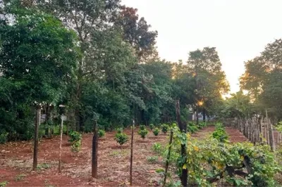 362m² Land for Sale in San Miguel, Presidente Franco