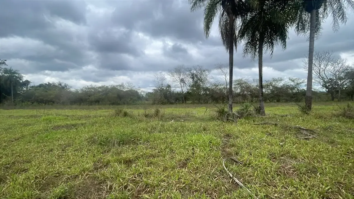3.5ha/8.6acre Farm / Land for Sale in Ybycuí - Image 8