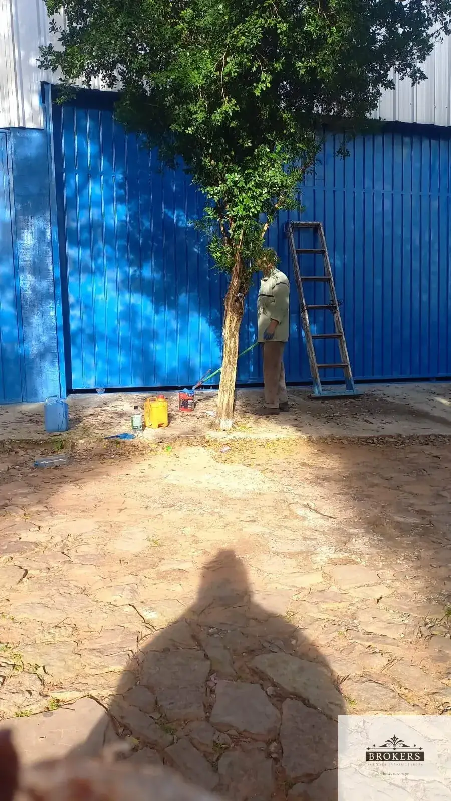 Espaço Comercial de 360m² à Venda em Isla Aveiro, Limpio - Image 3