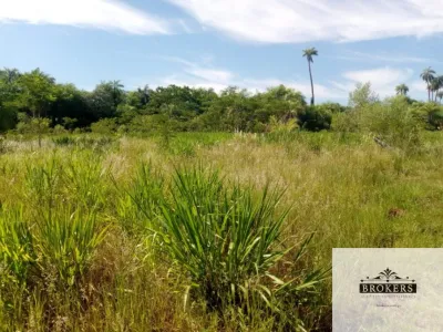 Terreno de 100.000m² à Venda em Ypacaraí