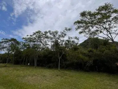 Terreno de 2,250m² en Venta en Paraguarí, Ciudad de Arroyo Pora-Sub Urbano - Image 3