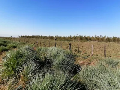 Terreno de 262m² en Venta en Nueva Italia