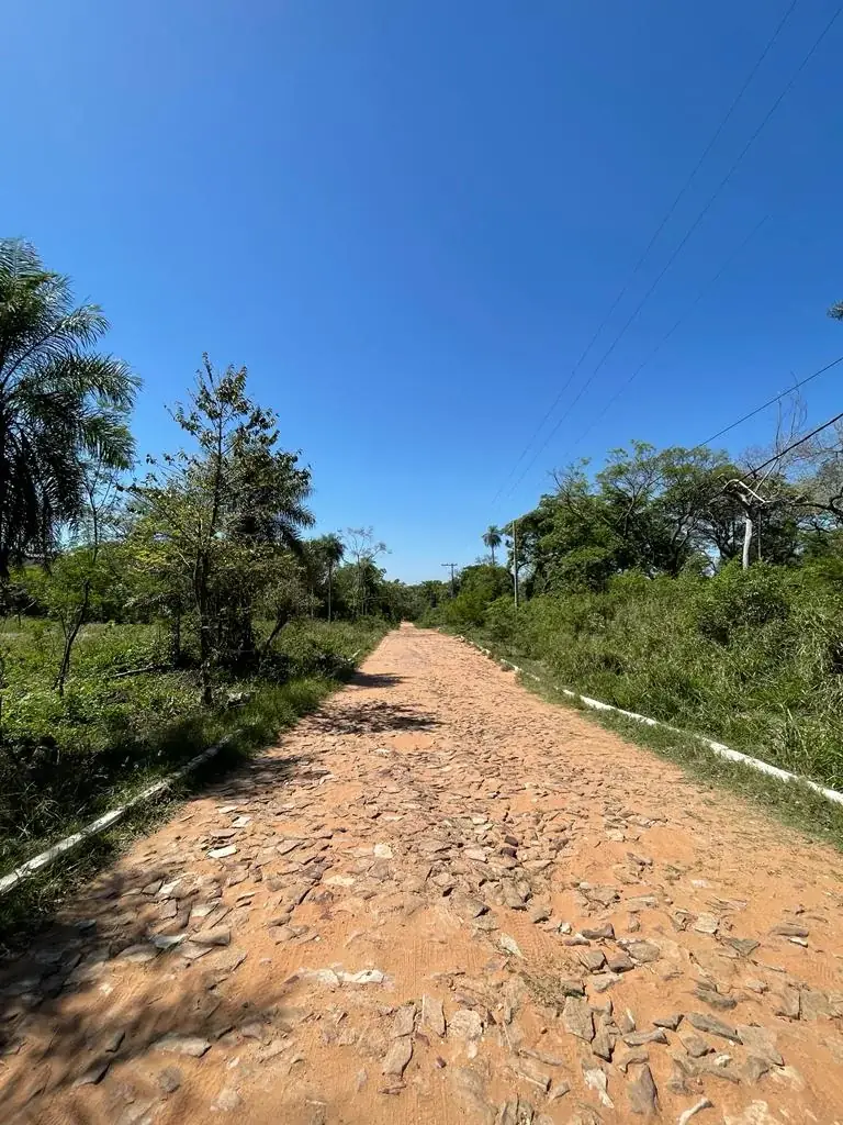 Vendo hermoso terreno arbolado en San Bernardino  Zona Anfiteatro - Image 3