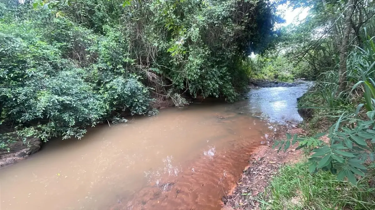 Inversión Agropecuaria en Paraguay: 90 Ha en Acahay con arroyo - Image 4
