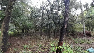 1m² Lot for Sale in Corazón de Jesús, San Bernardino
