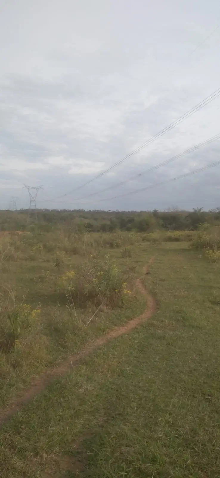Vendo 20 hectáreas en Emboscada A 3 km de la ruta 3 del casco urbano - Image 3